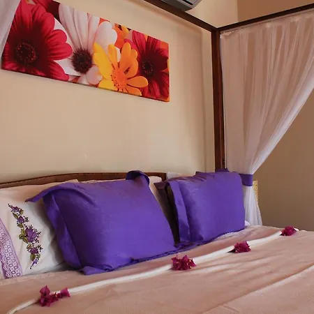 Отель Bozburun Aphrodite Beach & Hotel 3*